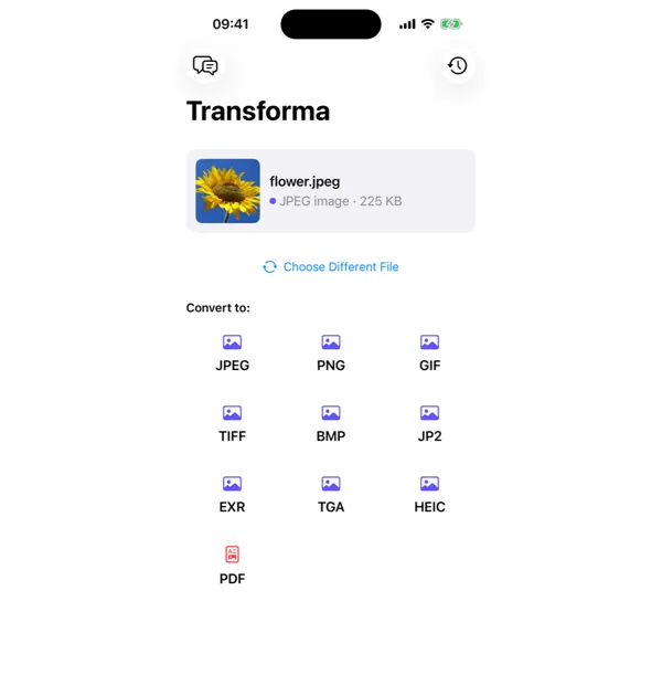 Transforma app showing format selection grid with JPEG, PNG, GIF, TIFF, BMP, HEIC, and more output options on iPhone
