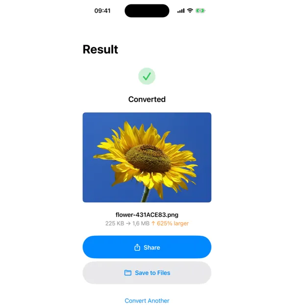 Transforma app showing successful file conversion result with Share and Save to Files options on iPhone